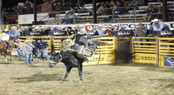 Rodeo Fall ends with two top showings